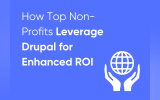 How Top Non-Profits Leverage Drupal for Enhanced ROI