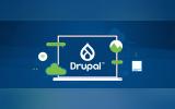 Why Drupal Excels in Content Strategy and SEO Optimization
