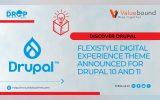 FlexiStyle Digital Experience Theme Announced for Drupal 10 and 11