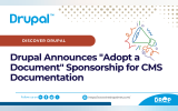 Adopt a Document Sponsorship for CMS Documentation
