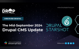 Drupal CMS Update