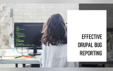How to create a Drupal bug report that gets results