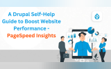 A Drupal Self-Help Guide to Boost Website Performance - PageSpeed Insights
