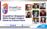 DrupalCon Singapore 2024 Drupal Leaders Panel on Future Plans