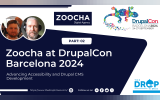 Advancing Accessibility and Drupal CMS Development 