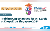 Training Opportunities for All Levels at DrupalCon Singapore 2024