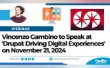 Vincenzo Gambino Webinar