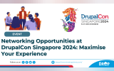 Networking Opportunities at DrupalCon Singapore 2024: Maximise Your Experience