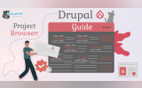 Project Browser Guide