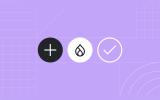 ew pattern + drupal + purple 