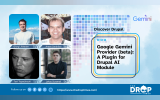 Google Gemini Provider (beta): A Plugin for Drupal AI  Module