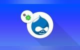 SmartLinker AI for Drupal Automates Internal Linking for SEO and Content Efficiency