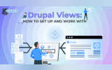 How to Set Up and Work with Drupal Views