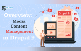 Media Content Management in Drupal 9