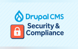 Drupal CMS for Regulated Industries: Security and Compliance Strategies