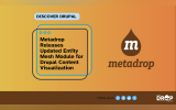 Metadrop Releases Updated Entity Mesh Module for Drupal Content Visualization