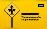 The Anatomy of a Drupal Decision 