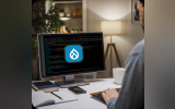Essential Drupal Modules to Boost Website Functionality and Security