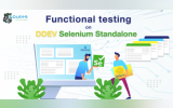 Functional testing on DDEV Selenium Standalone Chrome
