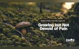 Growing but Not Devoid of Pain