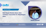 New Drupal Module Eases Bulk Interface Translation for Multilingual Sites
