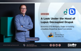 A Look Under the Hood of Lupus Decoupled Drupal