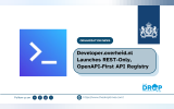 Developer.overheid.nl Launches REST-Only, OpenAPI-First API Registry