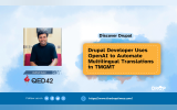Drupal Developer Uses OpenAI to Automate Multilingual Translations in TMGMT