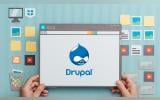 Can Drupal’s Ecosystem Thrive Amid Economic Pressures and Market Shifts?