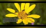 Implementing a Custom Parallax Slideshow in Drupal Using Twig and JavaScript