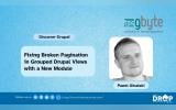 Fixing Broken Pagination in Grouped Drupal Views with a New Module