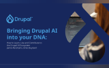 Building Drupal AI into your DNA
