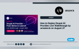 How to Deploy Drupal AI Provider: Live Walkthrough by amazee.io on August 27