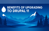 Top Reasons to Upgrade to Drupal 11: Faster, Smarter, and Ready for the Future