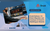  Druid Delivers 1.5-Week Migration and Overhaul of Kirami’s Multilingual Website The SEO Title is used for the automatic generation of the Url. It's best to put the major keywords at the beginning.