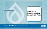 Drupal 11.2.3 Released with Key Compatibility Fixes
