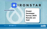 Drupal Developer Survey 2025 Results are Out!