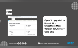 Open Y Upgraded to Drupal 11.1: Smoothest Major Version Yet, Says IT Care CEO