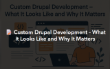 Custom Drupal Development – What It Looks Like and Why It Matters