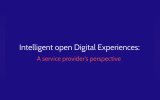 Intelligent Open Digital Experiences