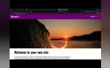 Microsite 1