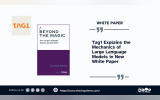 Tag1 Explains the Mechanics of Large Language Models in New White Paper