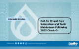 Call for Drupal Core Subsystem and Topic Maintainers Following 2025 Check-In