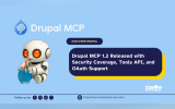 Drupal MCP 1.2 Released with Security Coverage, Tools API, and OAuth Support