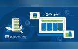 Drupal Migration