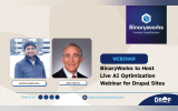 Hero image for BinaryWorks Webinar on AI Optimization