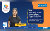 Hero image depicting Drupalfit story titled "What A11y Audits Reveal About Drupal Websites" and an explanatory deck with the words "Audit findings point to recurring accessibility issues in Drupal themes, content structure, and media handling". The horizontal image contains a photograph of Palak Agarwal, the author, and logos of Drupalfit and DrupalCon Chicago 2026. The footer contains a TDT logo. 