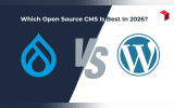 Drupal vs WordPress