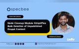 Node Cleanup Module Simplifies Bulk Deletion of Unpublished Drupal Content