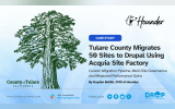 A wide hero image with a large illustrated tree on the left and a clean blue gradient background. On the right, the text reads “Tulare County Migrates 50 Sites to Drupal Using Acquia Site Factory,” with a case study label above and a subheading about custom migration pipelines and performance gains. Logos for County of Tulare, Hounder, and The Drop Times appear, along with social media icons and website references.